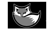 Silver Fox Limousine