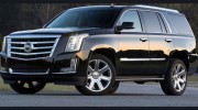 A Synergy Limousine