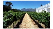 Temecula Wine Tours
